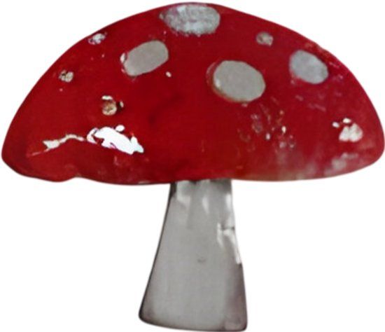 Buitengewoon de Boet Steker ijzer paddenstoel L 35x60 cm
