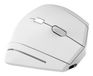 T'nB MWERGOVBTRWH Souris Bureau Droitier Bluetooth + USB Type-A Optique 1600 DPI Blanc
