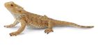 Collecta Figurine de dragon barbu - Brun