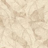 Rasch Amara - 720556