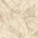 Rasch Amara - 720556
