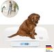 Beurer Polly Weegschaal – 2-in-1 Baby weegschaal / Dierenweegschaal & Digitale Personenweegschaal – Afneembare schaal – HOLD-functie – 100 g tot 180 kg – 3 AAA-batterijen – 2 jaar garantie