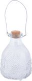 Esschert Design Wespenvanger/wespenval transparant glas 14 cm - Insectenvangers/insectenvallen