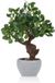 Unyqoos® Realistische kunstplant camelia in stijlvolle pot voor binnenhuisdecoratie