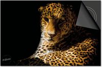 Dietrix Inductie beschermer 60x60 - Black en Gold - Cheetah