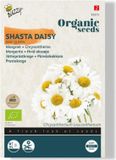 Pieterpikzonen Buzzy Zaden chrysanthemum may queen 0.25 gram
