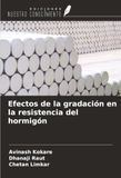 Efectos OmniScriptum SRL Efectos de la gradación en la resistencia del hormigón