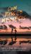 Sun Willow Winters Publishing Llc Sun Kissed Nemesis Hardcover