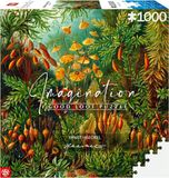 Good Loot Ernst Haeckel - Muscinae Puzzel - 1000 stukjes