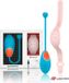 WEARWATCH Egg Wireless Technology Watchme Bleu / Rose