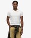 Superdry Essentieel Logo T-shirt Wit Heren S