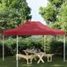 Prolenta Maison Exclusive Partytentdak, 4x3 meter, bordeauxrood, 270 g/m²