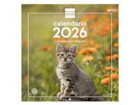 Finocam Wandkalender 2026, Spaans, 30 x 30 cm, maandoverzicht januari - december 2026 + september 2025 (4 maanden) gereduceerd, kalender 2026, kattenafbeeldingen