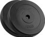 Rebel Active - Bitumineuze Halterschijven - 2x10kg - Zwart
