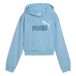 PUMA Meisjes Ess 2 Color No. 1 Logo Korte Lengte Hoodie Tr G Sweatshirt