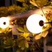 ELP Lichtbollen snoer | 10,5 meter | 15 lichtbollen | Wit