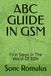 ABC GUIDE GSM: First Steps In The World Of GSM