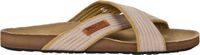 Protest Pingaa Slippers Heren Lichtgewicht Teenslippers Coffee