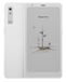 BOOX Palma 2 Pro 6,13 inch couleur 128 Go Android 15 E-Ink 300 ppp (blanc)