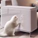 Bol Pak de 12 protection pour griffoir pour chat 40 x 30 cm