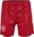 Hummel DBU WOMAN 25 HOME SHORTS