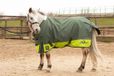 Harry's Horse Stout! Lime 0gr Regendeken Armygreen - 125
