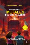 SORPRENDENTES METALES: DEL ORO AL ACERO: Historia de los metales y de la metalurgia y edades del hombre de piedra o madera, cobre, bronce y hierro con ... modernos de la ciencia y la tecnología