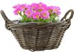 Van der Leeden Planten/bloemen mand met hengsels - rond - bruin - D43 x H18 cm - rotan gevlochten