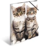 HERMA mappen A3 kattenset, 3-delig, kinderhoekmappen van kunststof met dierenmotief, elastische band, binnenkleppen en binnenprint voor jongens en meisjes