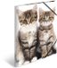 HERMA mappen A3 kattenset, 3-delig, kinderhoekmappen van kunststof met dierenmotief, elastische band, binnenkleppen en binnenprint voor jongens en meisjes