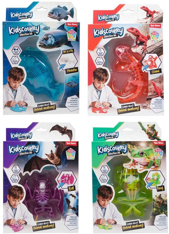 Top1Toys Kidscovery Slijmskelet Dier