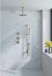 Fortifura Nebbio opbouw regendoucheset – 20 cm plafondbuis – 1-stands staafhanddouche – gladde slang – messing geborsteld