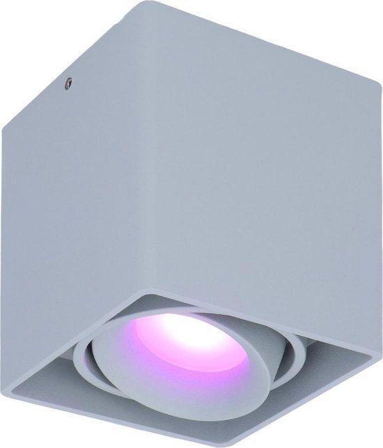 HOFTRONIC Esto smart Opbouwspot - Vierkant - Plafondspot - Kantelbaar - RGBWW - Wifi + Bluetooth - Grijs