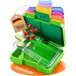 Funkelfuchs® - Lunchbox pour enfants avec compartiments - 500ml, vert