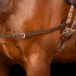 Imperial Riding Elastisch paardentuig bruin Full