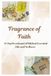 Fragrance of Faith: A 14-Day Devotional to Biblical Essential Oils and Wellness.