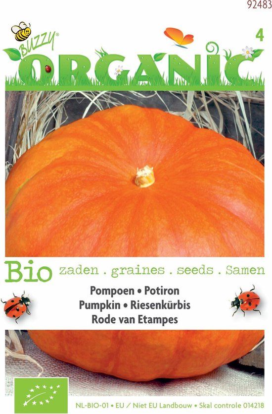 Buzzy Organic Pompoen Rode van Etampes - inh.: 6 zaden