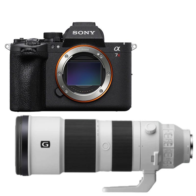 Sony A7R VI + FE 200-600mm F/5.6-6.3 G OSS