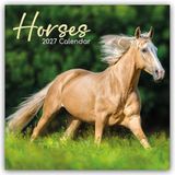 Comello Horses portraits 2027 Wandkalender