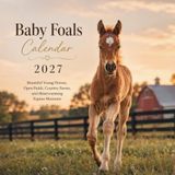 Baby Foals Calendar 2027