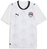 Puma Jersey Top Efa Away Replica 783557