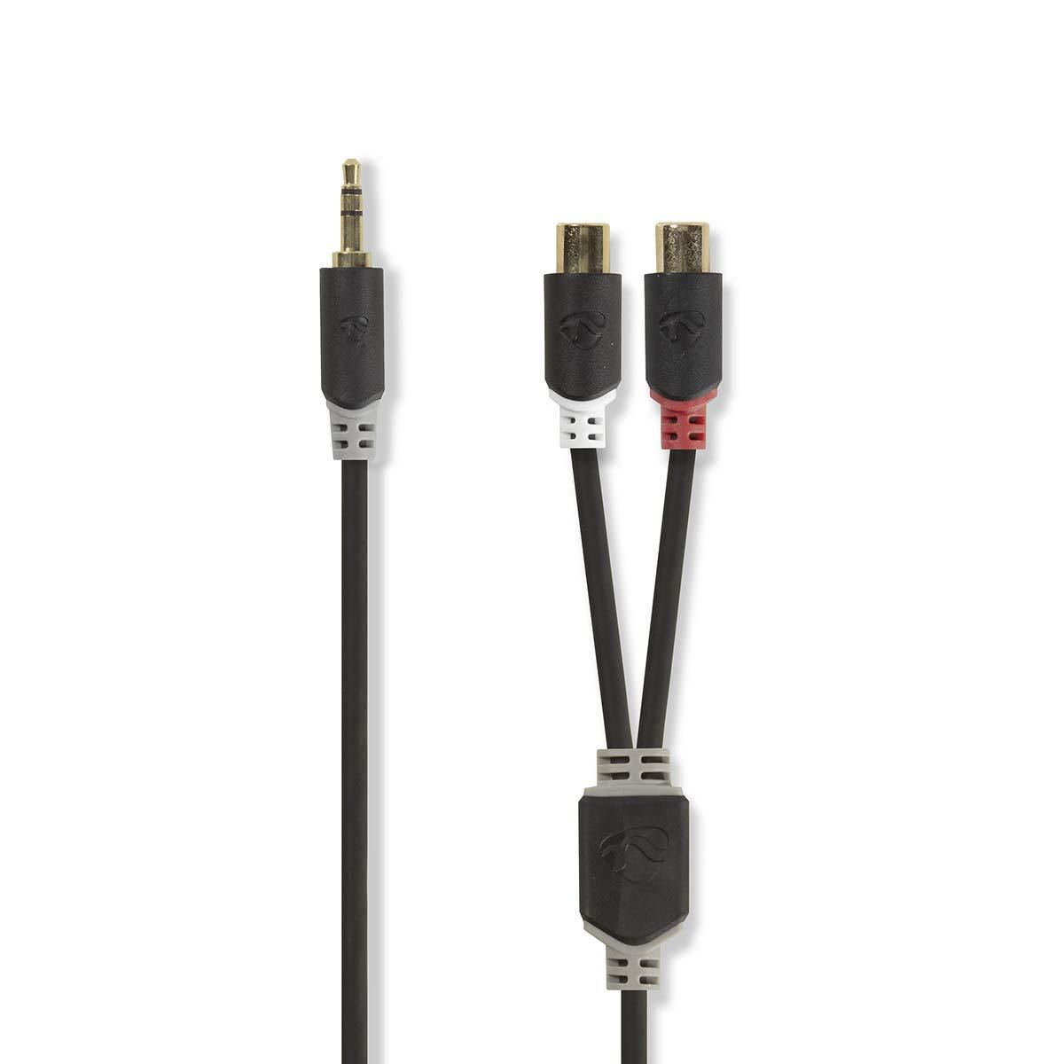 Nedis CABW22250AT02 - Audio kabel - Antraciet