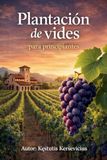 Plantación de vides para principiantes