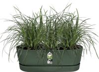 Elho Greenville Easy Balcony 52 - Balkonbak met Ophanging - 100% Gerecycled Plastic - L52 x B21.2 x H19.4 cm - Blad groen