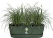 Elho Greenville Easy Balcony 52 - Balkonbak met Ophanging - 100% Gerecycled Plastic - L52 x B21.2 x H19.4 cm - Blad groen