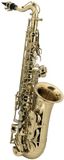 Roy PURE GEWA Eb-alt kindersaxofoon Roy Benson AS-201