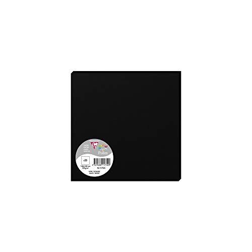 Clairefontaine 1175C verpakking (met 25 kaarten pollen 160 x 160mm) 210g, zwart
