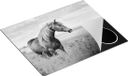 Chefcare Inductie Beschermer Bruin Paard in de Wei - Zwart Wit - 65x52 cm - Inductie Mat