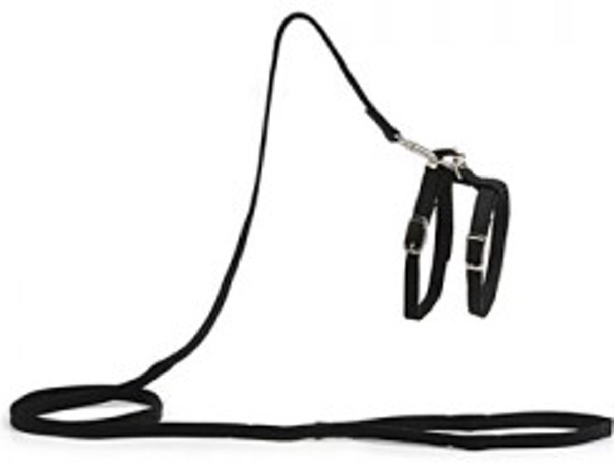 Beeztees Kattentuigje - Zwart - 130 cm