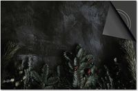 Dietrix Inductie Beschermer - 59x52 cm - Kerst Takken op Zwart Beton